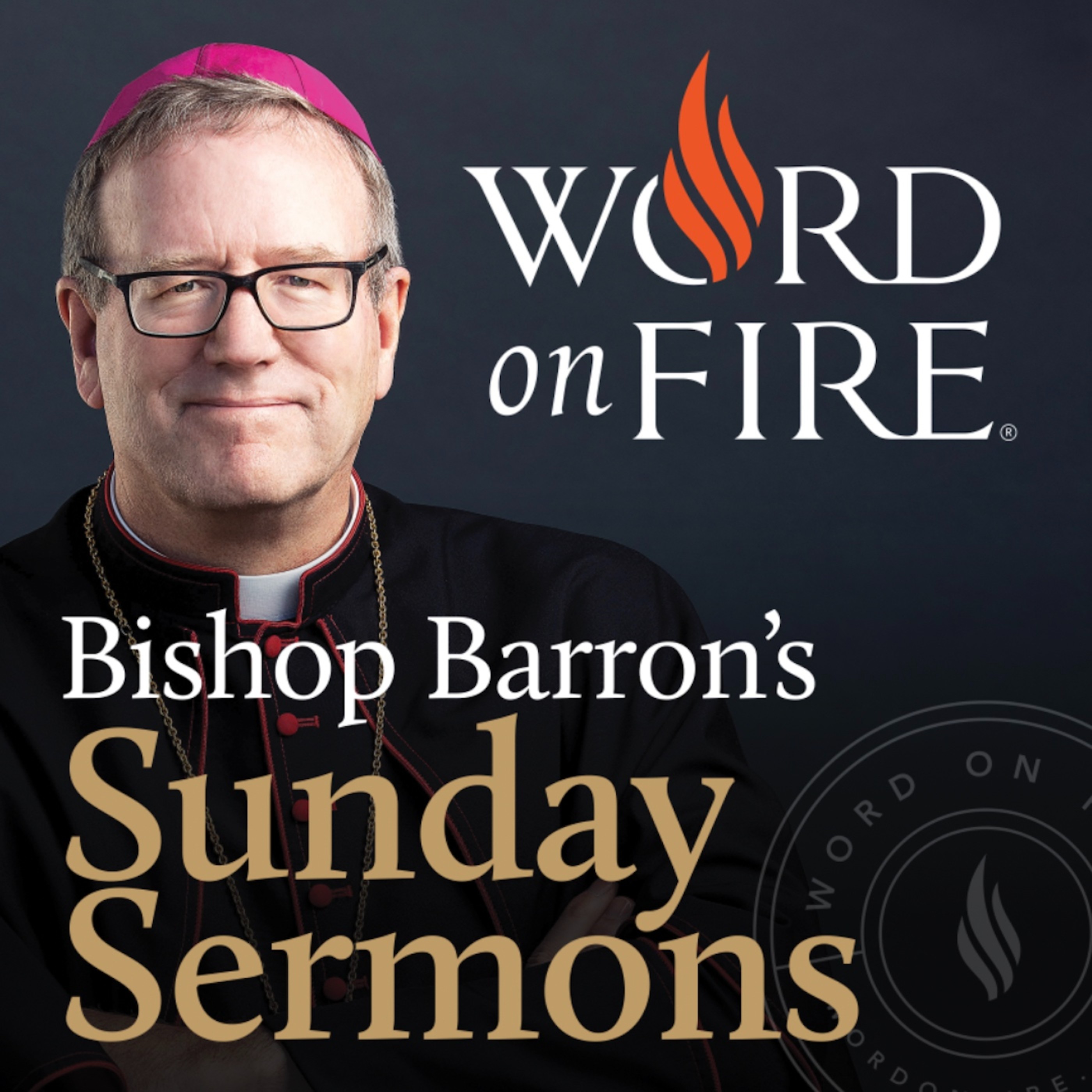 Bishop Barron’s Sunday Sermons - Catholic Preaching and Homilies podcast